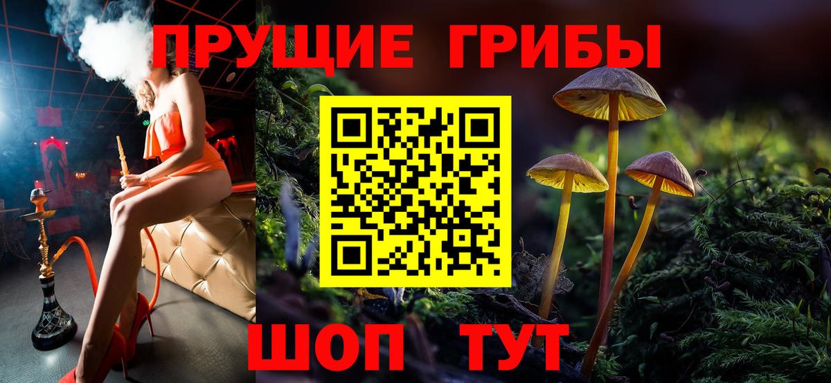 Псилоцибиновые грибы Cubensis  Вход с VPN  купить наркотики цена  Галлюциногенные грибы Psilocybe  Заринск 