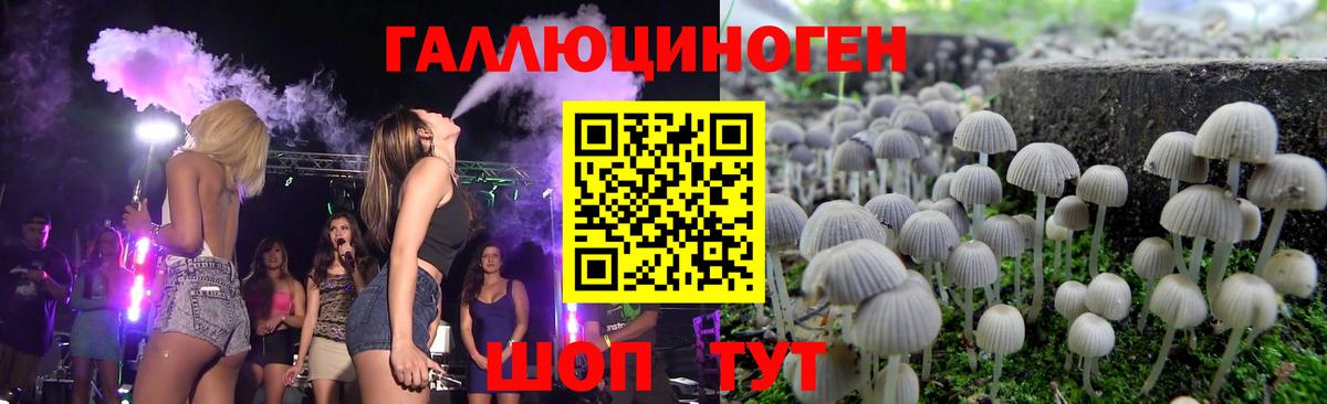 Псилоцибиновые грибы мухоморы Заринск